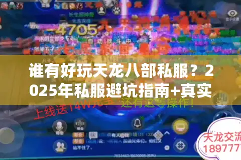 谁有好玩天龙八部私服？2025年私服避坑指南+真实测评推荐