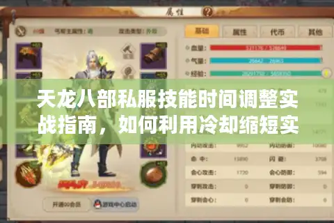 天龙八部私服技能时间调整实战指南，如何利用冷却缩短实现跨服战逆袭？