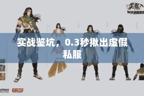 实战鉴坑，0.3秒揪出虚假私服