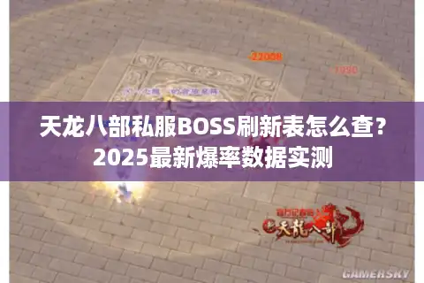 天龙八部私服BOSS刷新表怎么查？2025最新爆率数据实测