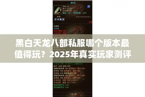 黑白天龙八部私服哪个版本最值得玩？2025年真实玩家测评指南