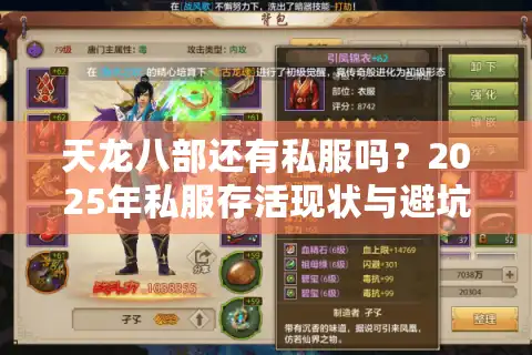 天龙八部还有私服吗？2025年私服存活现状与避坑指南