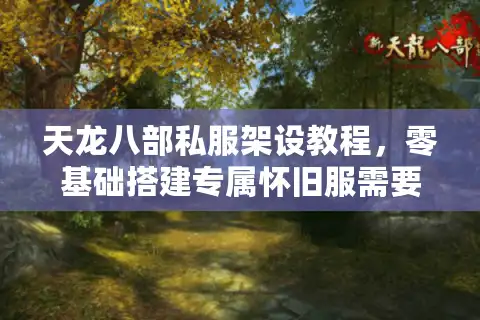 天龙八部私服架设教程，零基础搭建专属怀旧服需要哪些技术准备？