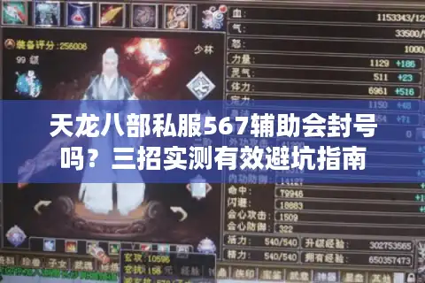 天龙八部私服567辅助会封号吗？三招实测有效避坑指南