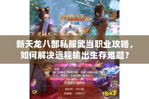 新天龙八部私服武当职业攻略，如何解决远程输出生存难题？