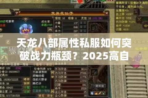 天龙八部属性私服如何突破战力瓶颈？2025高自由度版本实测