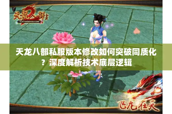 天龙八部私服版本修改如何突破同质化？深度解析技术底层逻辑