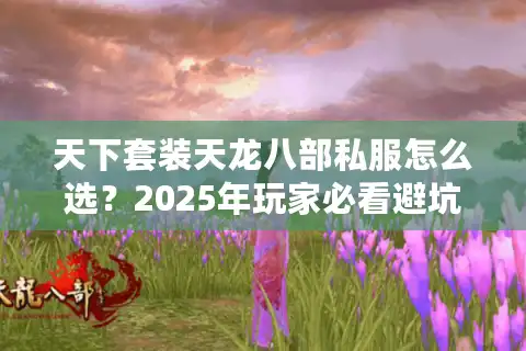 天下套装天龙八部私服怎么选？2025年玩家必看避坑指南