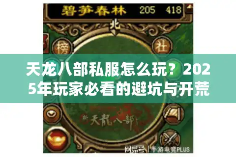 天龙八部私服怎么玩？2025年玩家必看的避坑与开荒指南