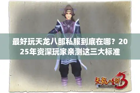 最好玩天龙八部私服到底在哪？2025年资深玩家亲测这三大标准