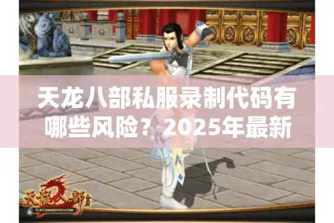 天龙八部私服录制代码有哪些风险？2025年最新避坑指南