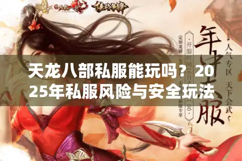 天龙八部私服能玩吗？2025年私服风险与安全玩法全解析