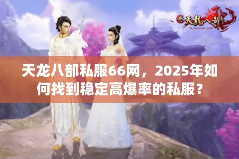 天龙八部私服66网，2025年如何找到稳定高爆率的私服？