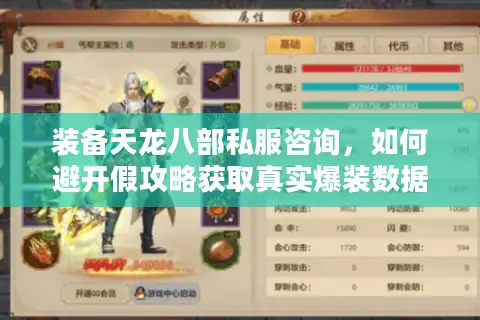 装备天龙八部私服咨询，如何避开假攻略获取真实爆装数据？