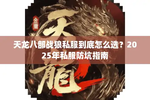 天龙八部战狼私服到底怎么选？2025年私服防坑指南